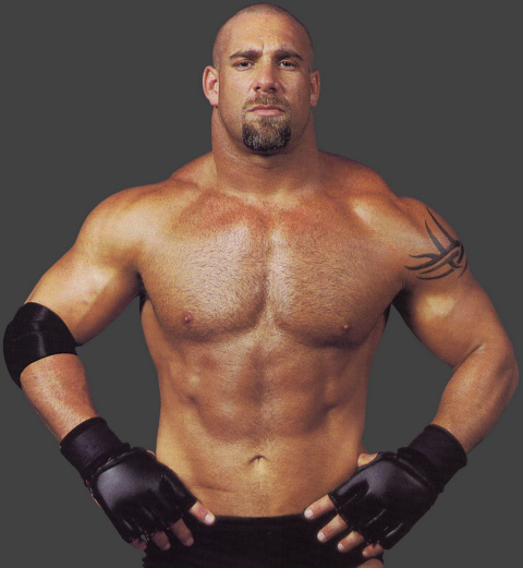 Is bill goldberg a wwe hall of fame?