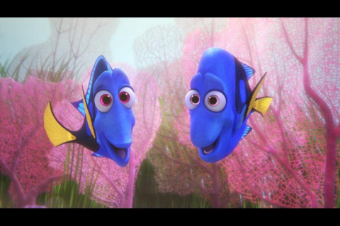 The blue tang fish in the “Finding Dory”movie has a few seconds of memory