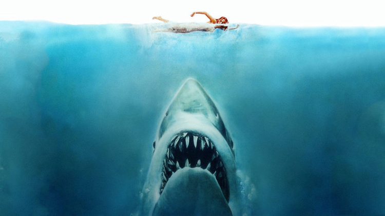 It is Jaws 2 or Jaws