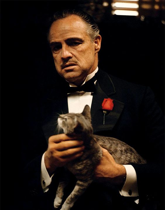 Who directed film the godfather?