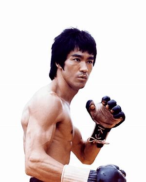 Is Bruce Lee a martial artist?