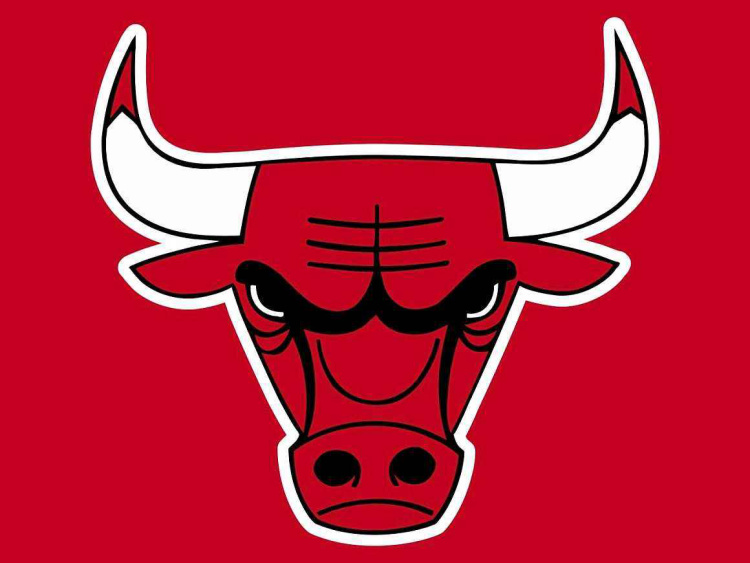 Is it Chicago Bulls or Brooklyn Nets