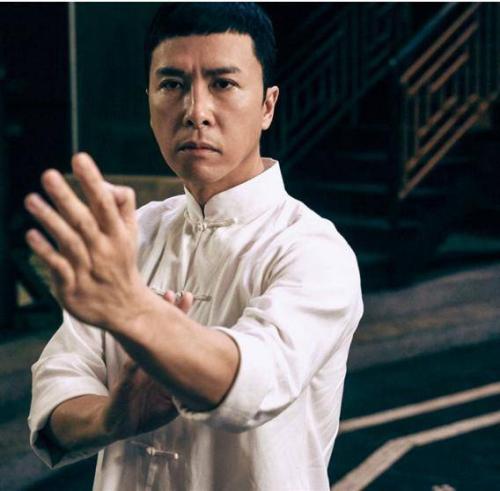 When was Donnie Yen born?