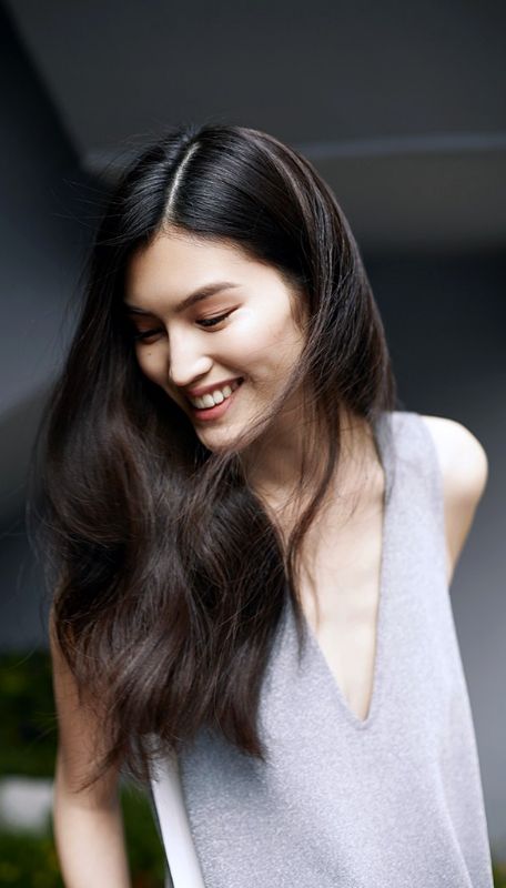 He Sui or Liu Wen?