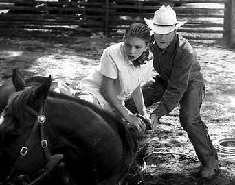 Is the horse whisperer a true story?