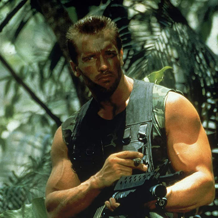 What movies are in the movie Predator?