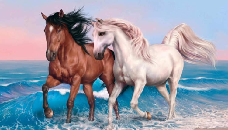 Sea Rush Or Animals Jigsaw Puzzle Horses?