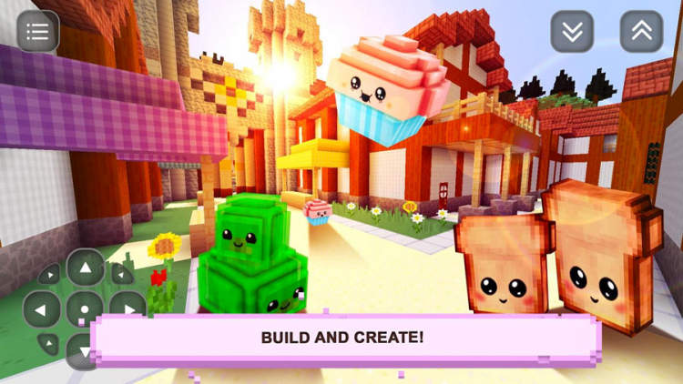 Mini Block Craft Or Girls Craft Story？