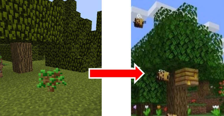 How To Spawn Your Own Bee Nests With Saplings?